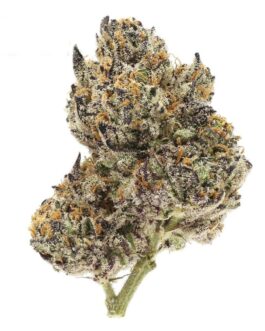 Cookie Dough
