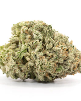 Durban poison
