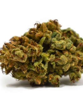 Ghost Train Haze