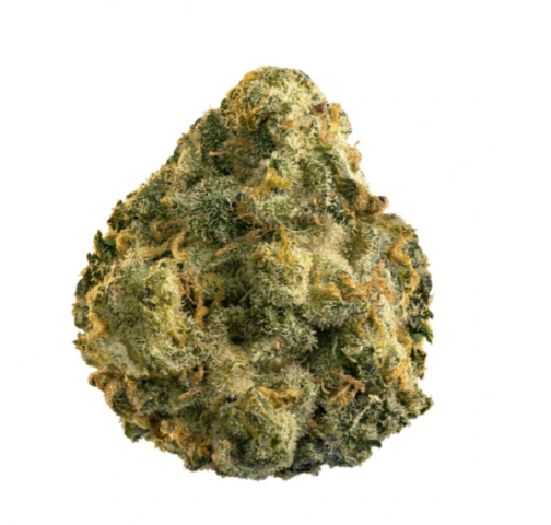 Grapefruit GG4
