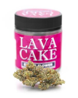 LAVA CAKE