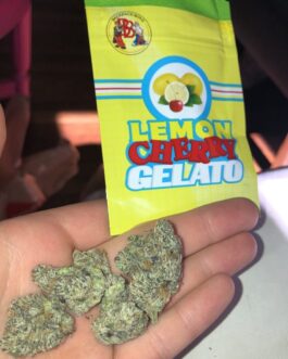 LEMON CHERRY GELATO