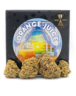 ORANGE JUICE