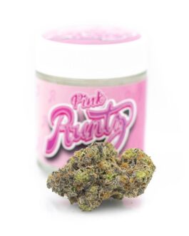 PINK RUNTZ