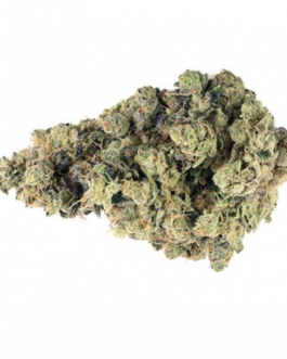 RUXTON (SOUR OG)