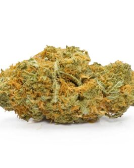 Rainbow Sherbet