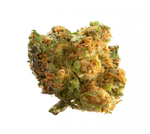 Rise (Green Extreme)
