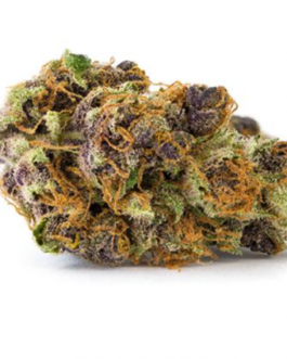 TANGERINE DREAM