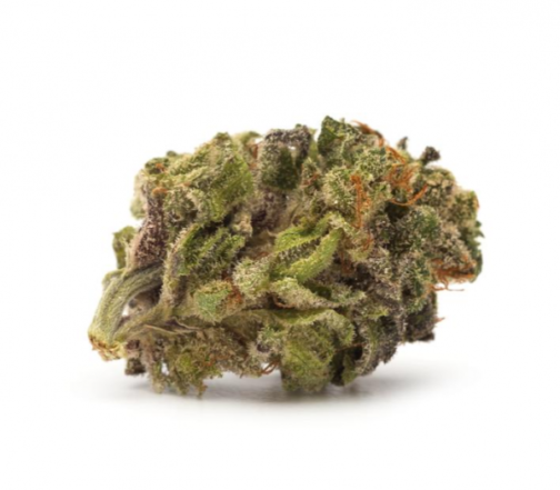 TWD SATIVA
