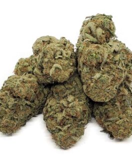 White Berry