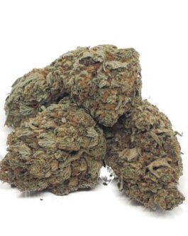 Cali Bubba