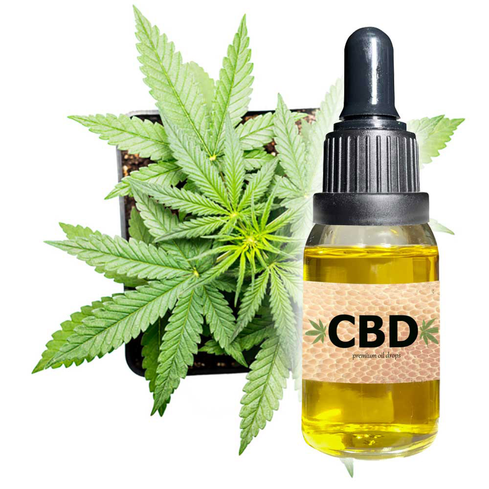 CBD Oil