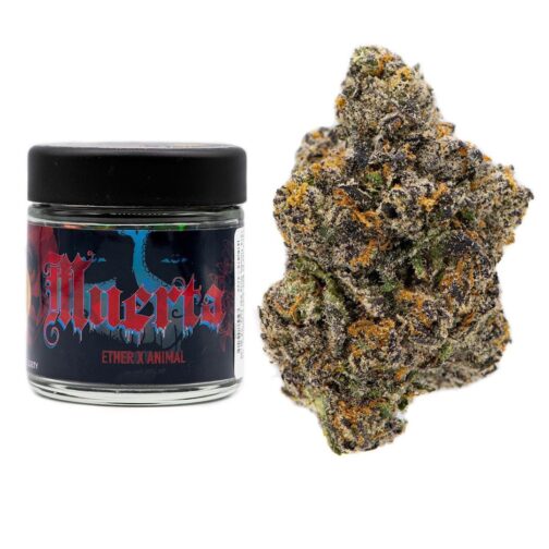 EL MUERTE
