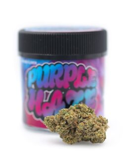 PURPLE HAZE