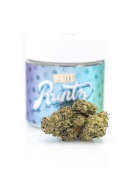 WHITE RUNTZ