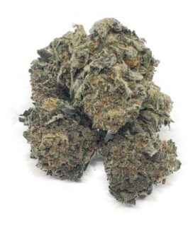 Platinum Bubba Kush