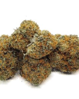 San Fernando Valley OG Kush (SFV OG)