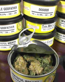 Space Monkey Meds