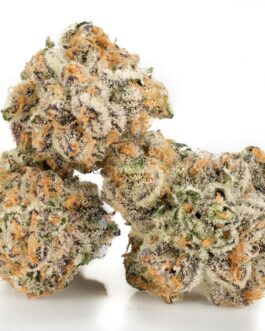 Sundae Driver