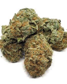 Sunset Sherbert