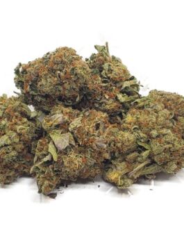 Tuna Kush