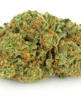 Orange Zkittles