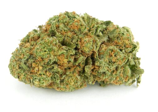 Orange Zkittles