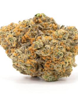 Blue Hawaiian