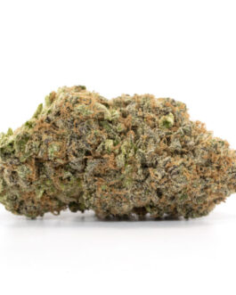 Blueberry Cheesecake