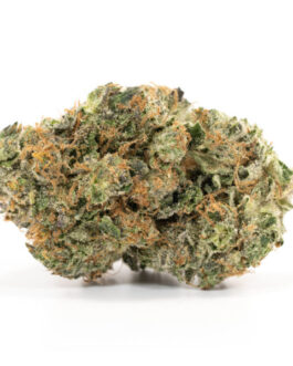 Cotton Candy Kush