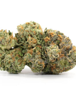 Critical Kush