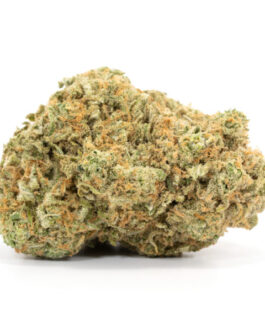Girl Scout Cookies
