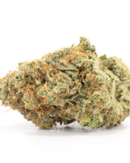 Golden Pineapple