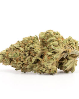 Lemon Skunk