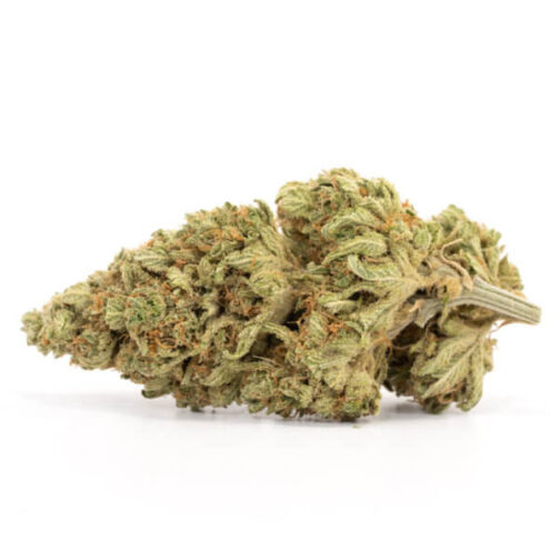 Lemon Skunk