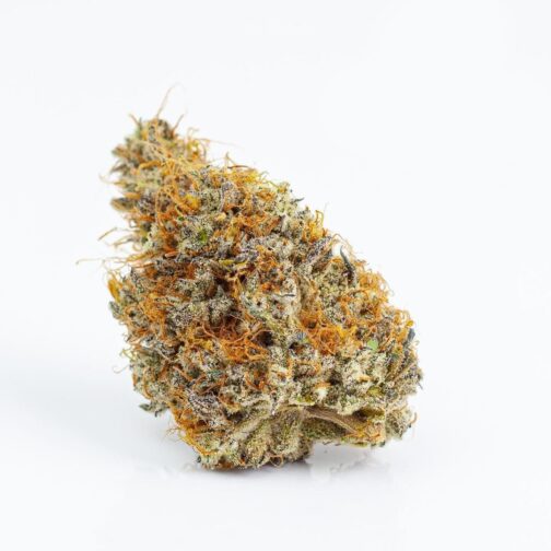 Mint Chocolate Chip