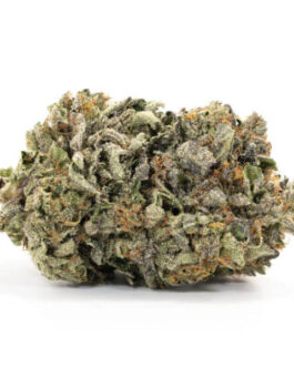 Permafrost