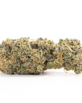Purple White Lightning