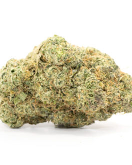 Thin Mint Cookies