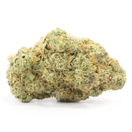 Thin Mint Cookies